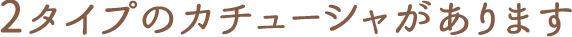 2タイプのカチューシャがあります